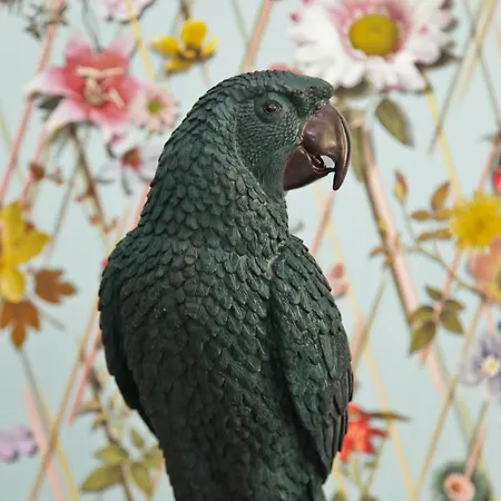 La Promenade 4* نيس