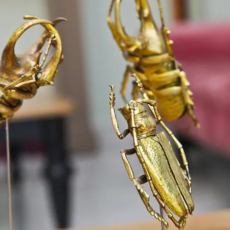 La Promenade فندق